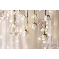 Świece pływające Bolsius  Maxi BOX 77/29 (8h) 12 sztuk białe