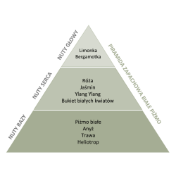 Perfumy do prania o zapachu Białe Piżmo 20 ml ESSENTIA NATURE