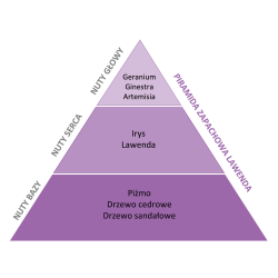 Perfumy do prania o zapachu Lawenda 20 ml ESSENTIA NATURE