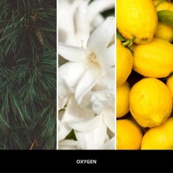 Zapach do samochodu MILLEFIORI Milano OXYGEN do kratki nawiewu