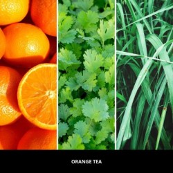 Zapach do samochodu MILLEFIORI Milano ORANGE TEA do kratki nawiewu